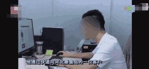 张先生深圳最新爆料,揭秘深圳最新动态与热点事件