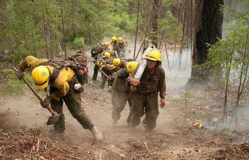 云南爆料野外消防事件最新,紧急救援与生态守护的较量